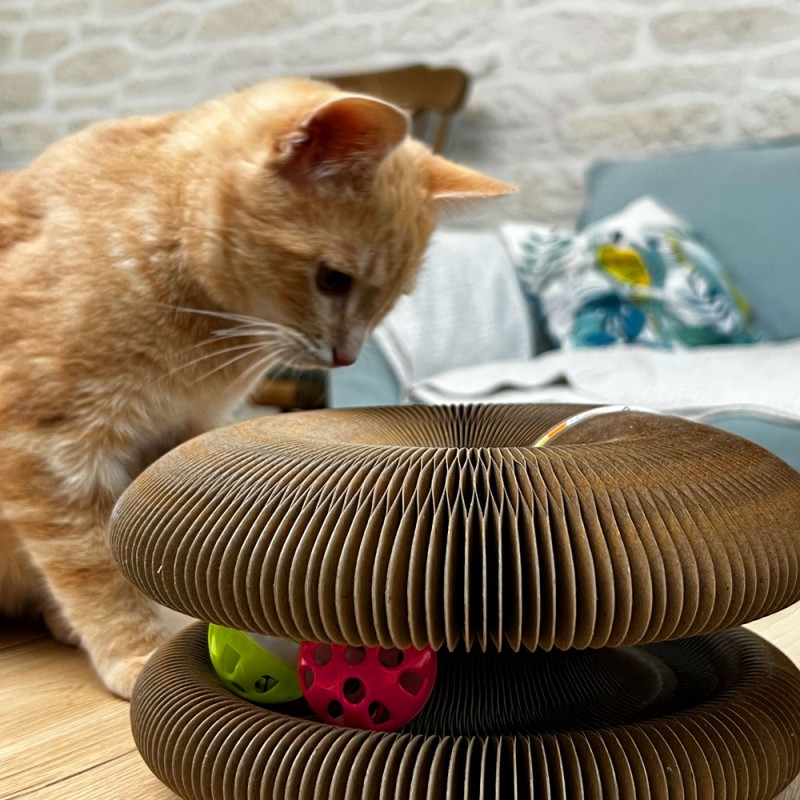 Jouet pour chat à balancier interactif avec balle ou plume Max&Mitzy