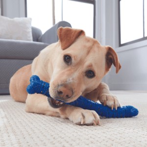 Os à mâcher pour chien CHEWBRUSH PRO